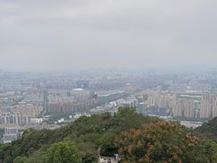 -杭州半山国家森林公园