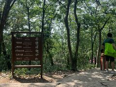 -上海佘山国家森林公园天马山园