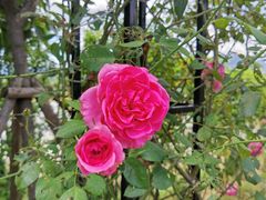 -福建鲤鱼洲酒店