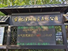 -合肥滨湖国家森林公园