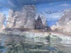 -南昌海洋公园
