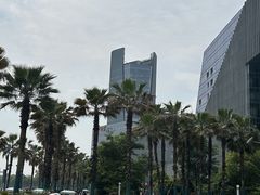 -金沙湖公园