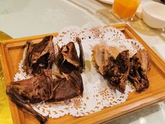 -食家鸽园