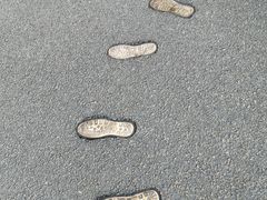 -棒棰岛宾馆景区