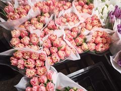 -循礼门鲜花花市(武汉循礼门店)