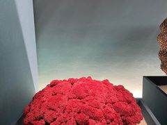 -中国湿地博物馆