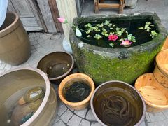 -田园印象·成都土菜院子(华阳店)
