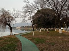 -尚湖风景区