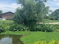 -良渚古城遗址公园