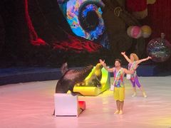 -珠海横琴长隆《卡卡虎奇遇记》