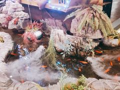 -小天鹅火锅·一线江景洪鼎旗舰店(洪崖洞店)