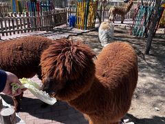 -水上乐园·欢乐世界