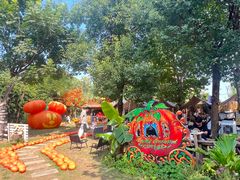 -HERRE·FARM 赫尔露营农场·团建聚会包场