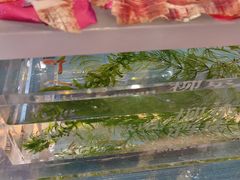 -柳京酒店(滨江中路店)