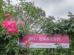 -武汉紫薇都市田园