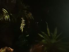 -泰之源足浴会所(玉环店)