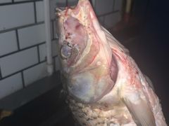 -粥旺府(月环里店)