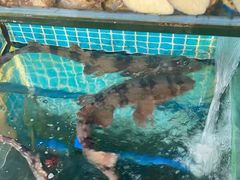 -三亚相缘海鲜·烧烤·糟粕醋(三亚湾店)