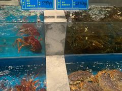 水产区-钱塘宴(东站西子国际店)