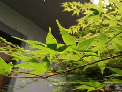 -苏州清山会议中心