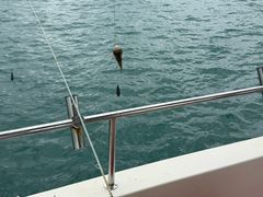 -小猫钓鱼海钓俱乐部(椰梦长廊店)