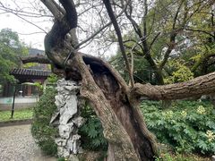 -汇龙潭
