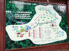 -野象谷景区