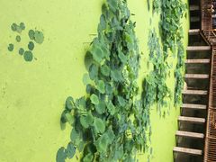 土家风情园-土家风情园