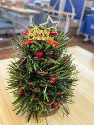 -中法母婴月子中心(南湖创始店)