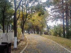 -金银湖国家城市湿地公园
