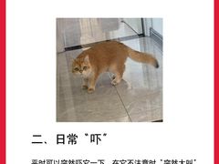 -守诺宠物医院·眼科· 特色牙科·异宠专科(虹口店)
