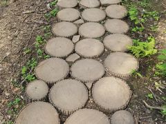 -香炉山国家森林公园