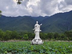 -汕尾莲花山温泉度假村