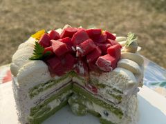 -山与蓝·轻糖鲜果蛋糕(勒泰店)