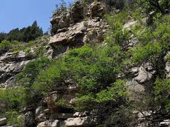 -龙洞风景区-藏龙涧