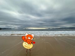 -大梅沙海滨公园