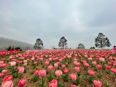 -上海辰山植物园