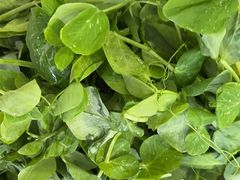 -金鼎雪山牦牛杂火锅(理县总店)