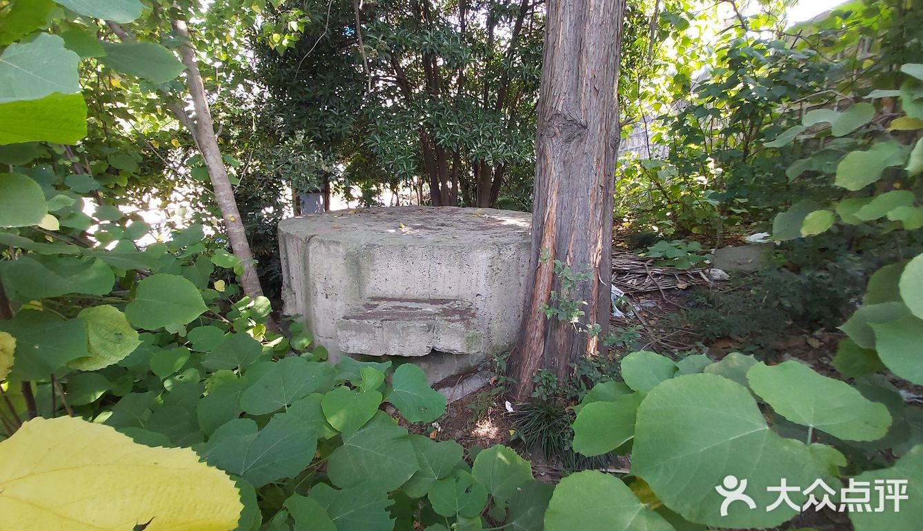 碉堡定为文物，闵行又添一例