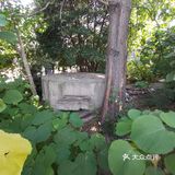 碉堡定为文物，闵行又添一例