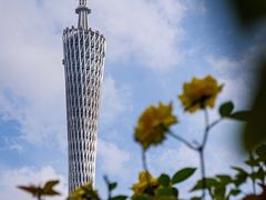 -二沙岛艺术公园