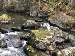 -茅兰沟国家森林公园
