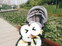 -雁滩公园