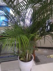 -成都军建医院·疤痕诊疗中心