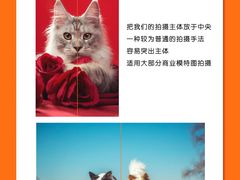 -CGWANG王氏教育(上海校区)