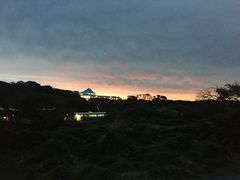 -企鹅岛