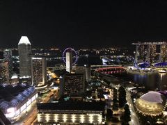 -新加坡瑞士史丹福酒店