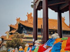 -大召无量寺