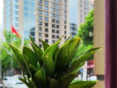 -卡本妮法餐厅·北京和平宾馆
