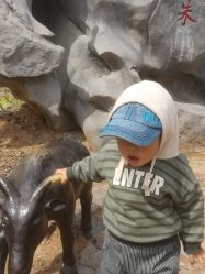 -萌宠亲子动物乐园(槐房万达店)